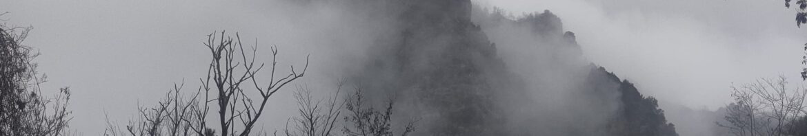 WhatsApp Image 2026-02-04 at 16.30.41